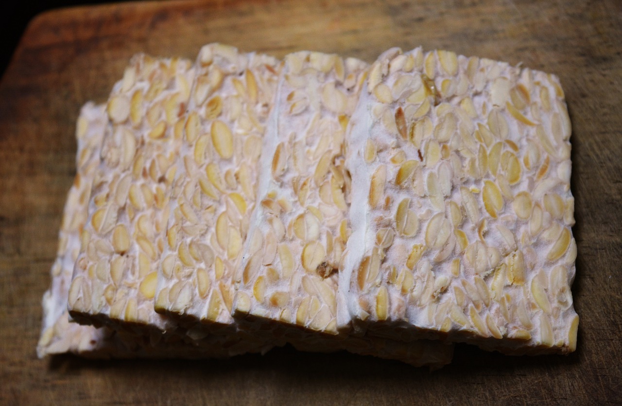 Slices of tempeh.
